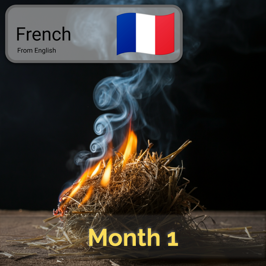 French (France) - Stage 1 - Month 1